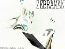 Zebraman 2