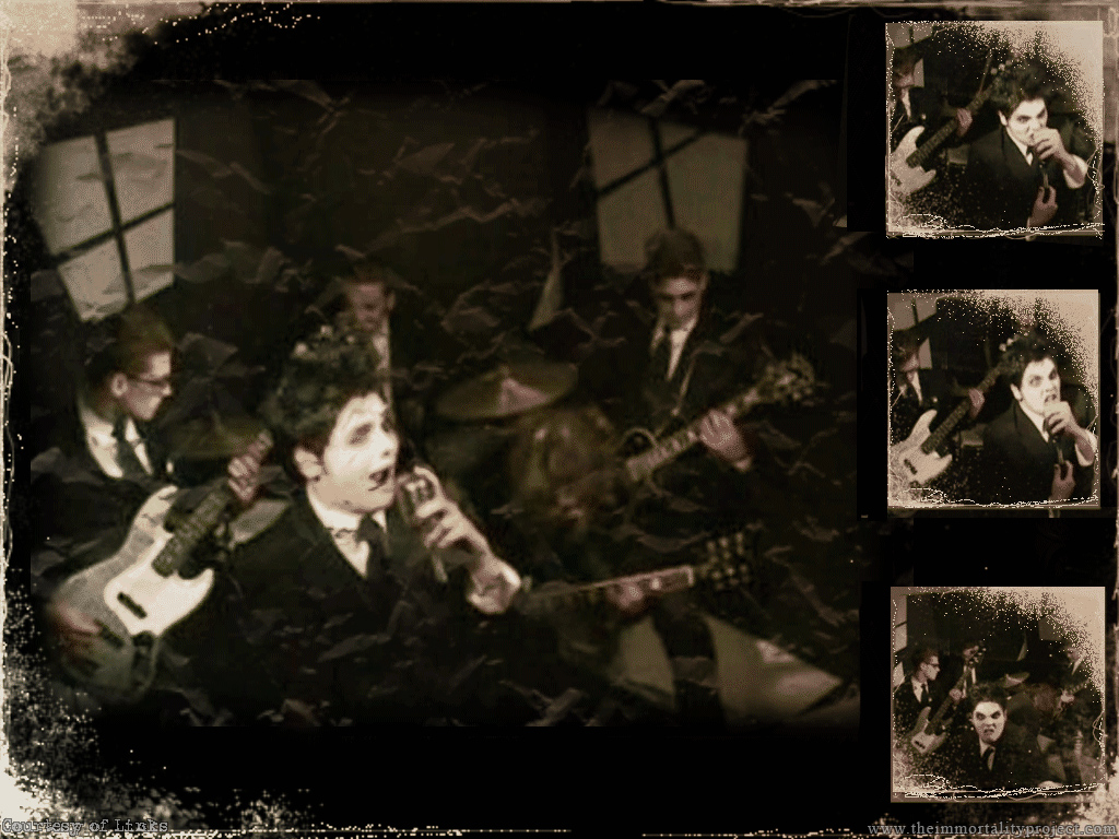 My chemical romance 8