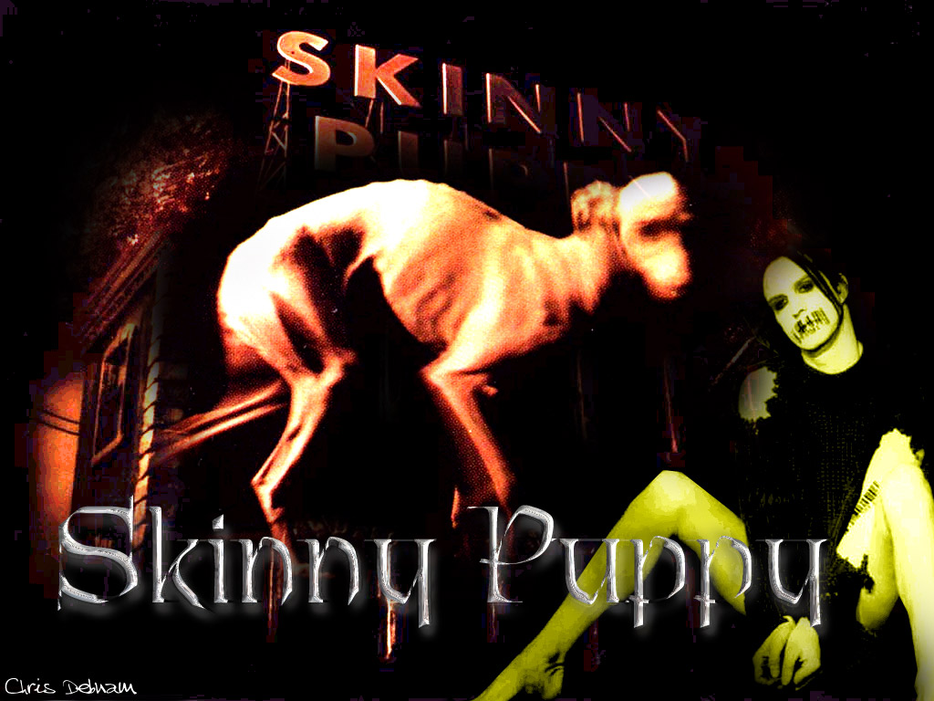 Skinny puppy wallpaper 3