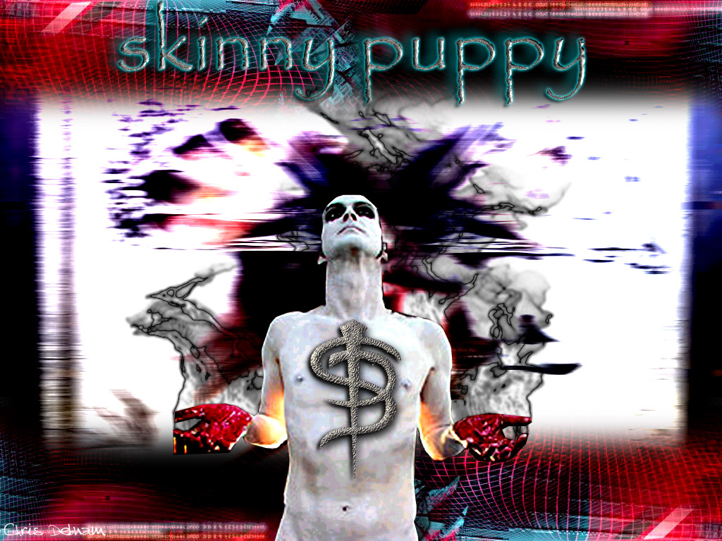 Skinny puppy 4