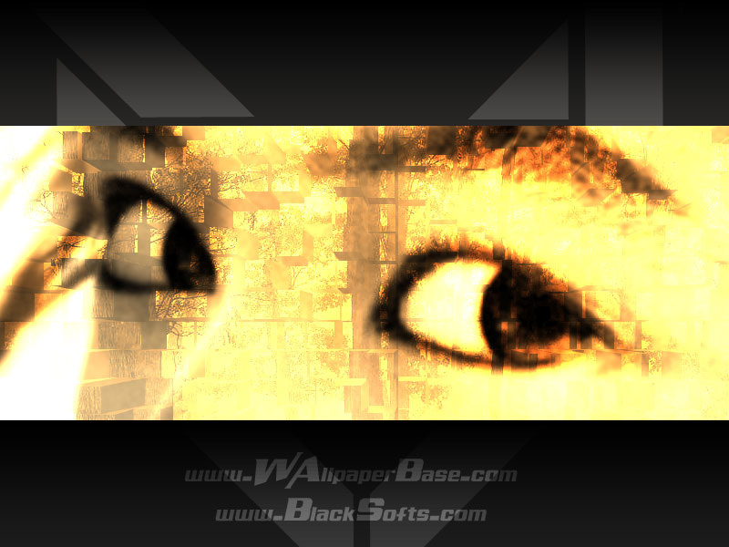 Misc 580