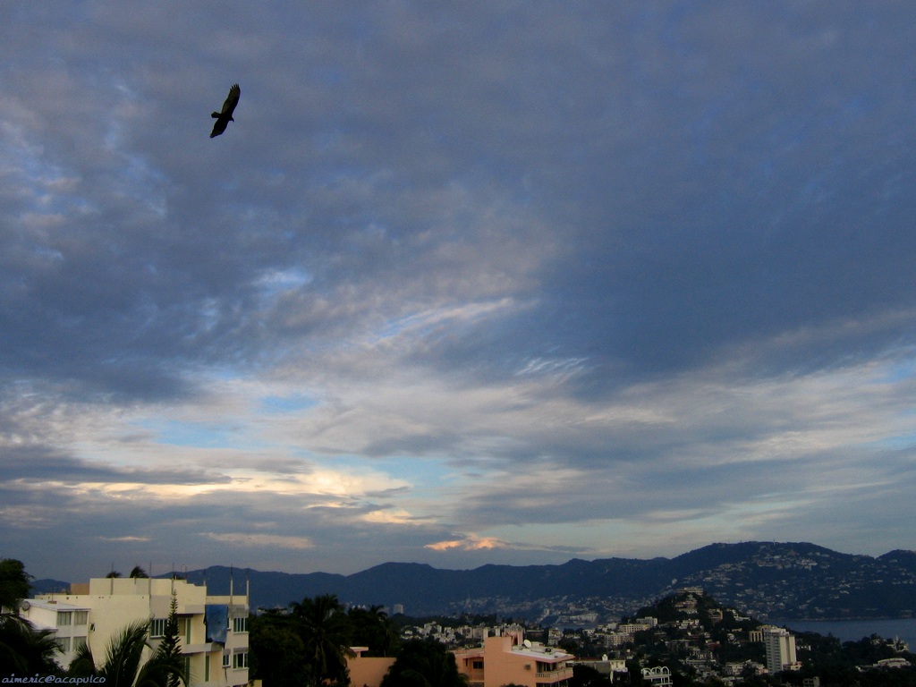 Acapulco 36