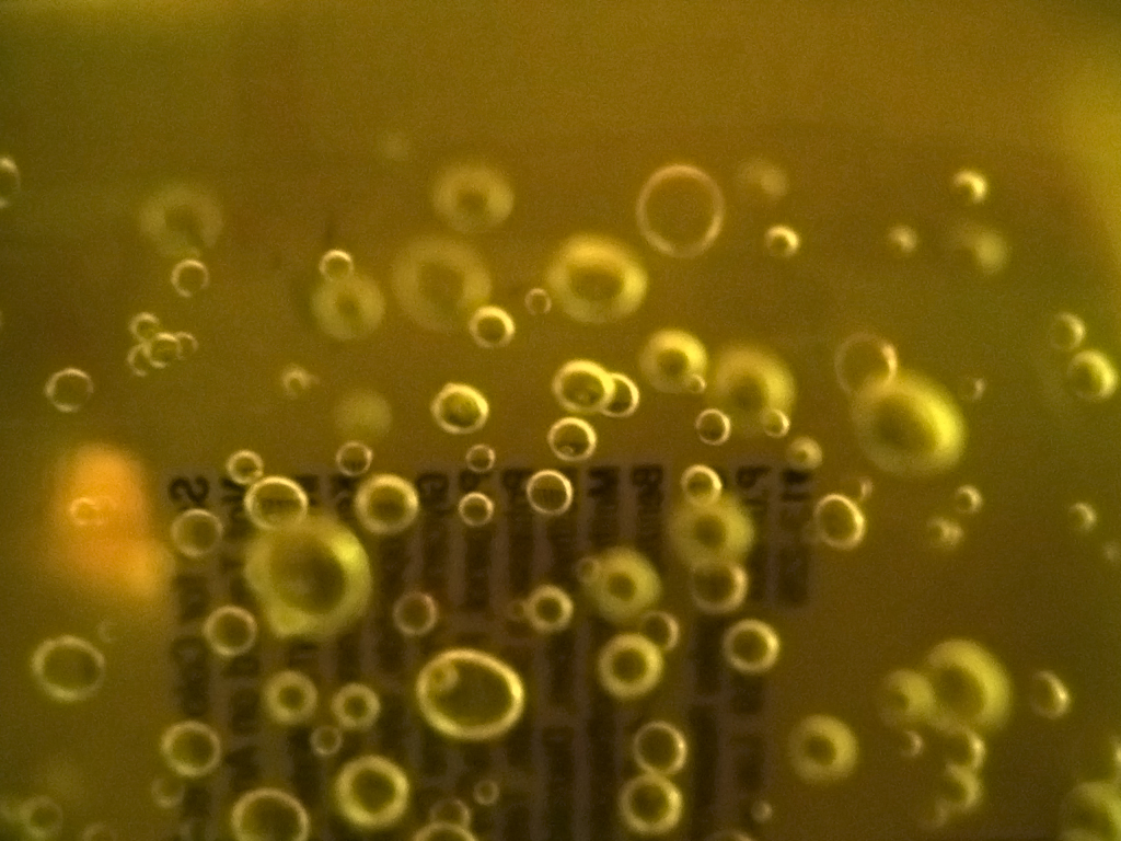 Bubbles 1