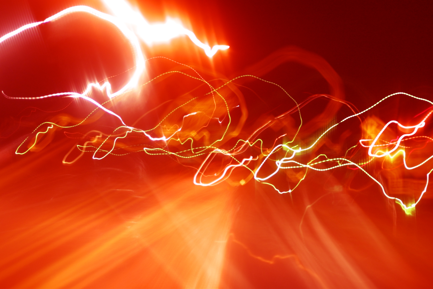 Miscellaneous photo 13