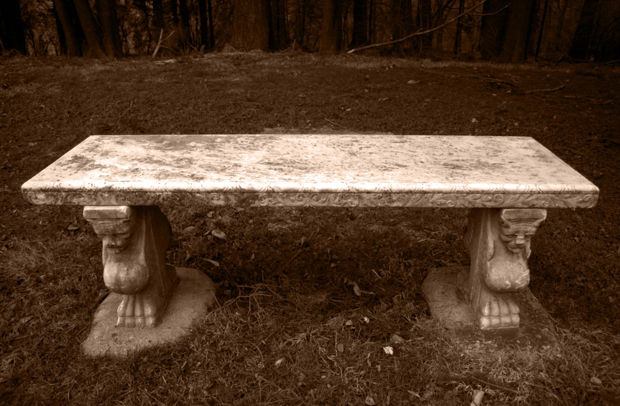 Miscellaneous photo 25
