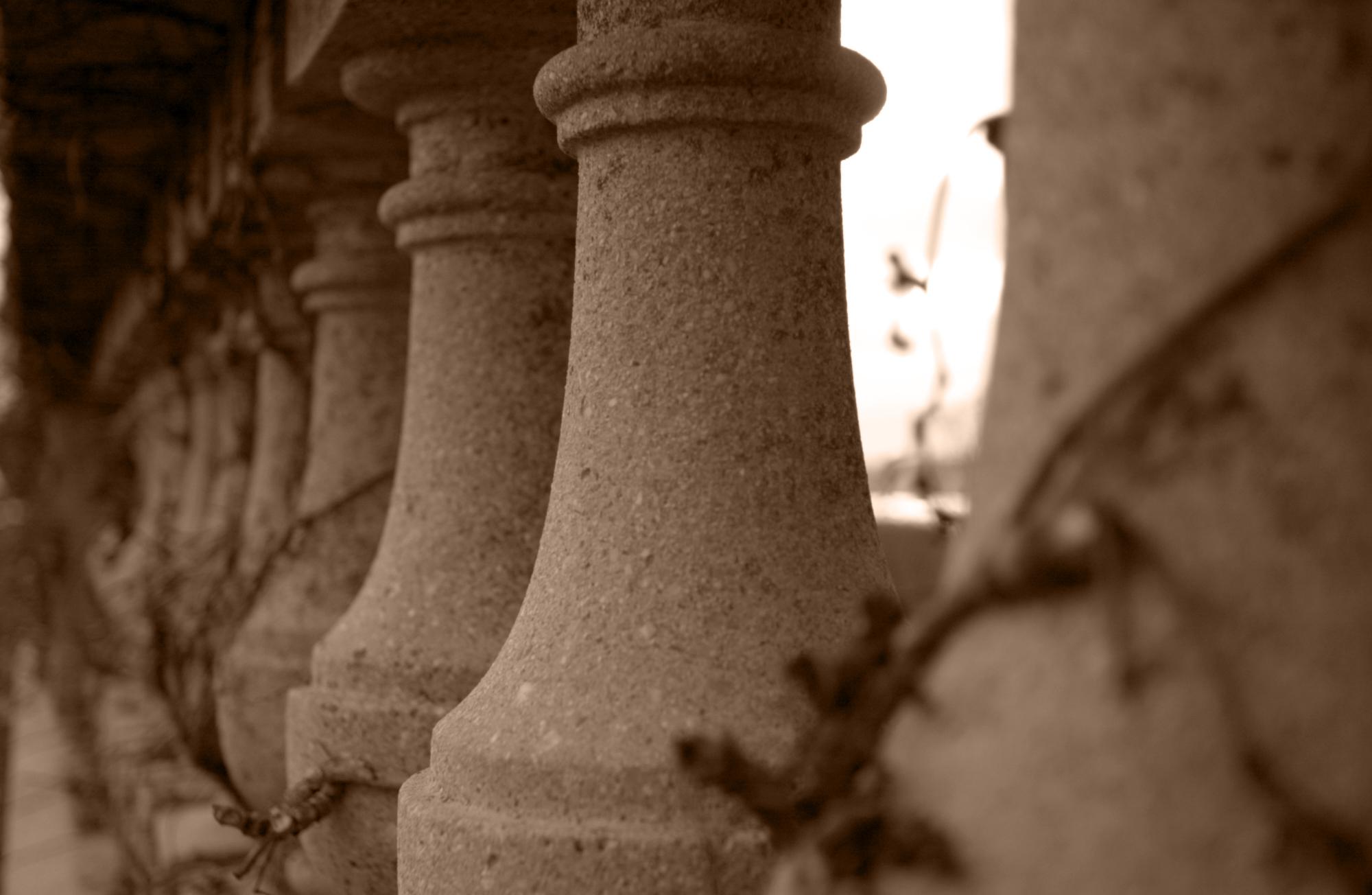 Miscellaneous photo 26