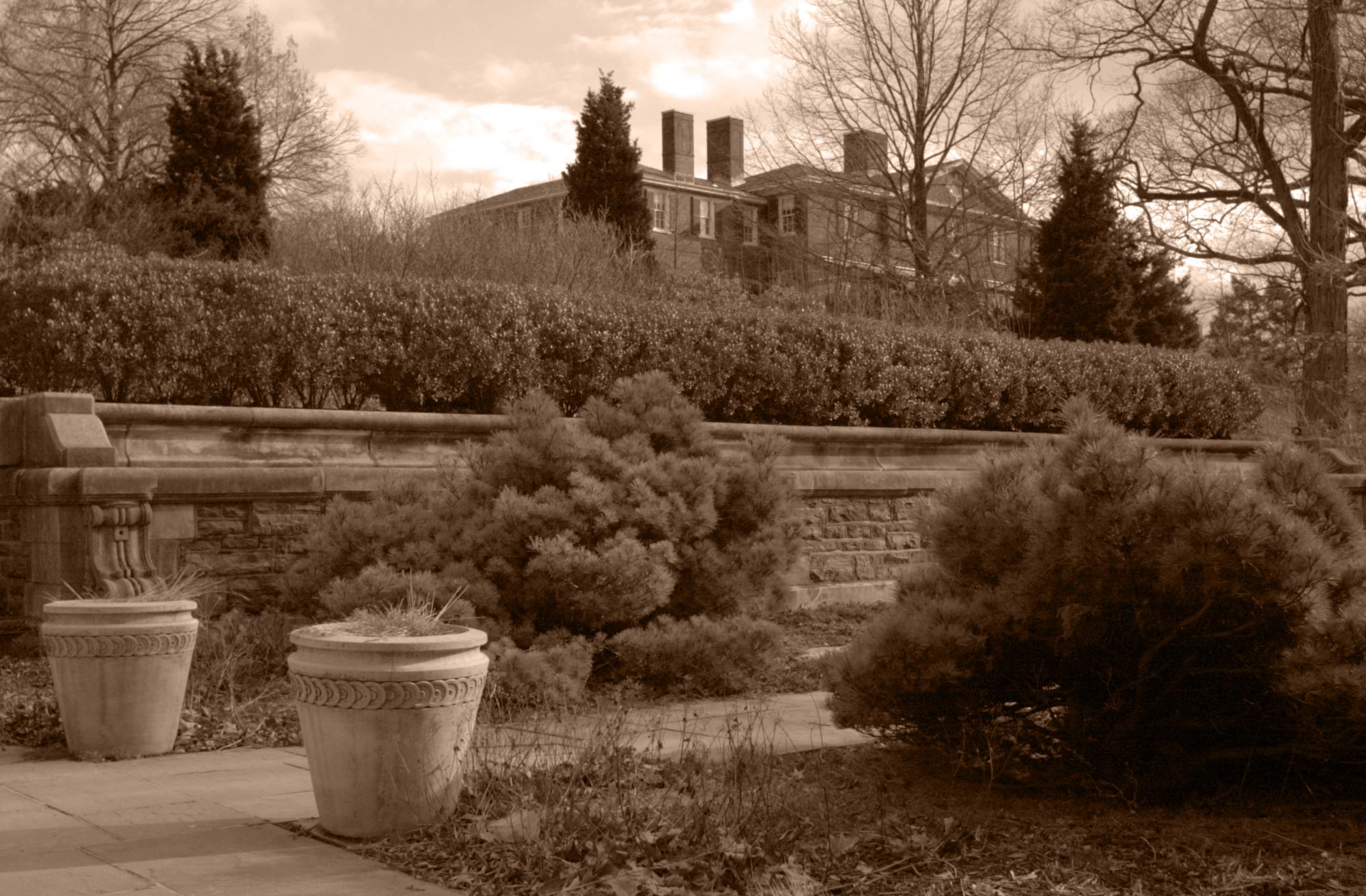 Miscellaneous photo 27