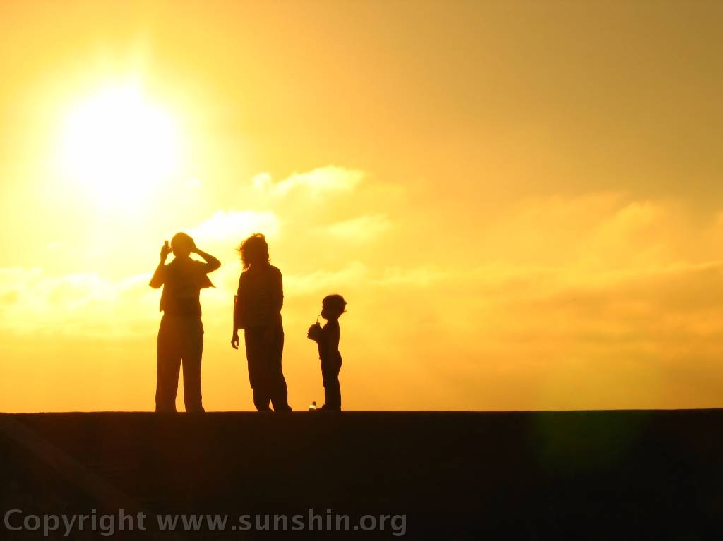 Miscellaneous photo 29