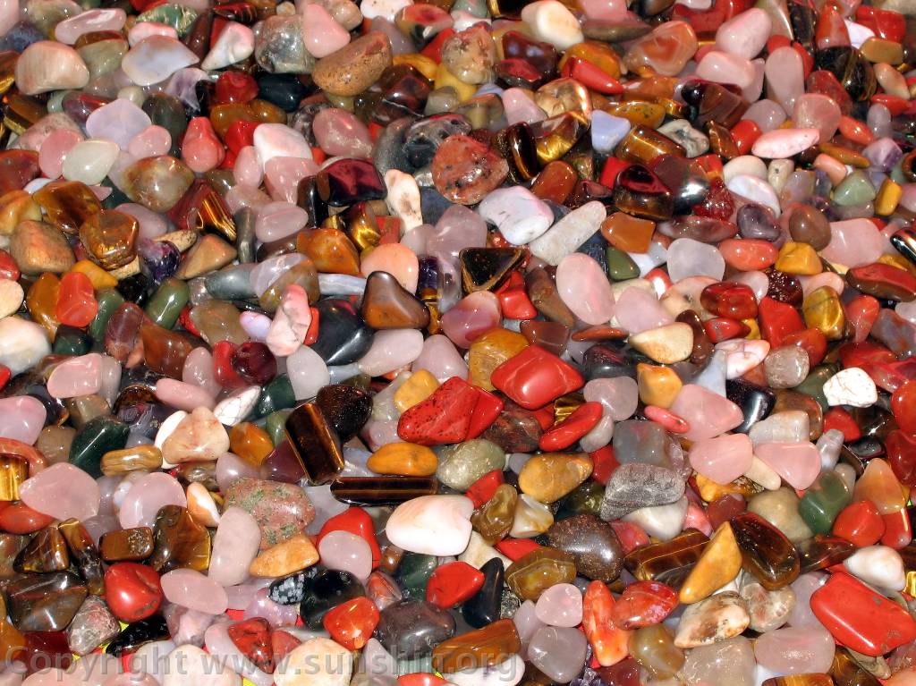 Miscellaneous photo 33