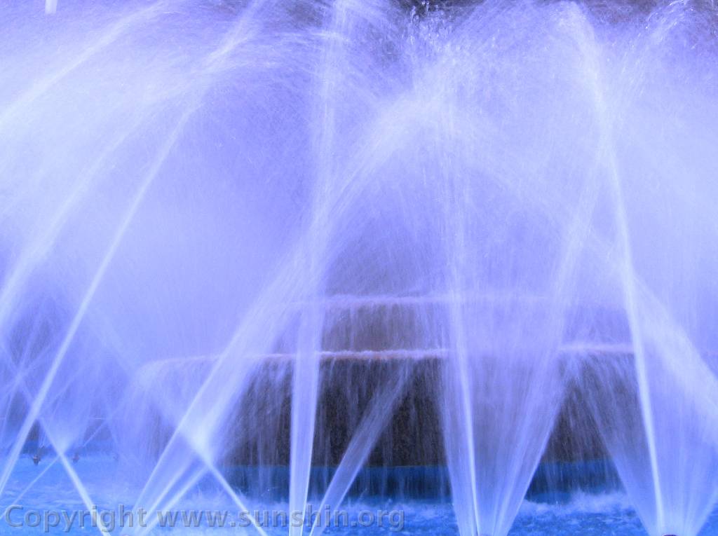 Miscellaneous photo 34