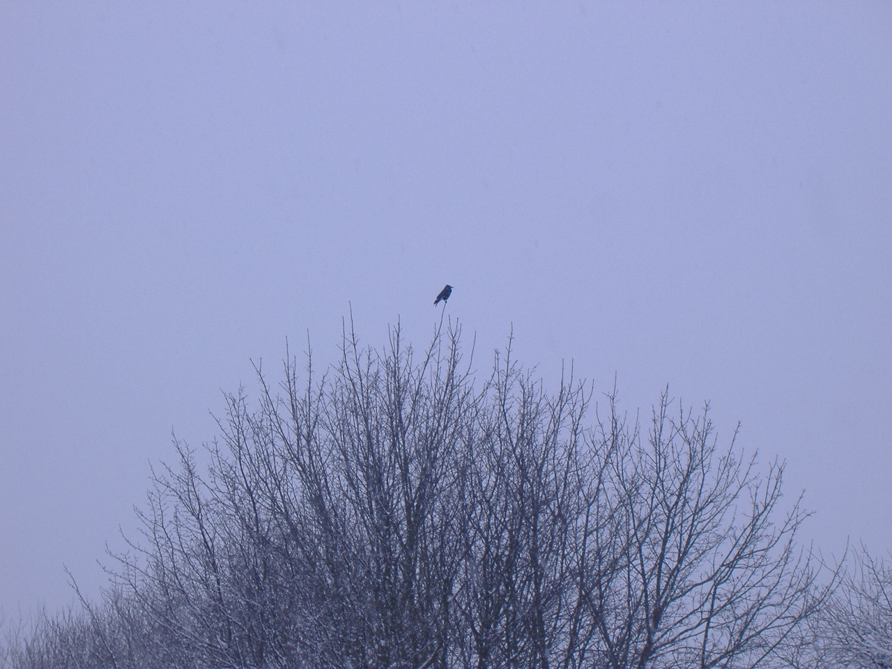 Miscellaneous photo 39