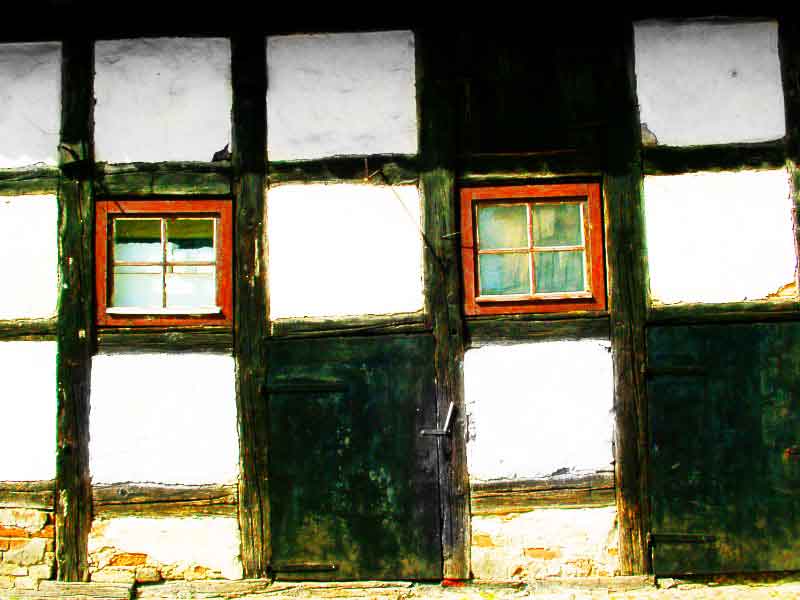 Miscellaneous photo 42