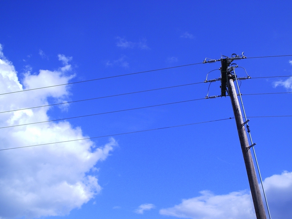 Miscellaneous photo 46