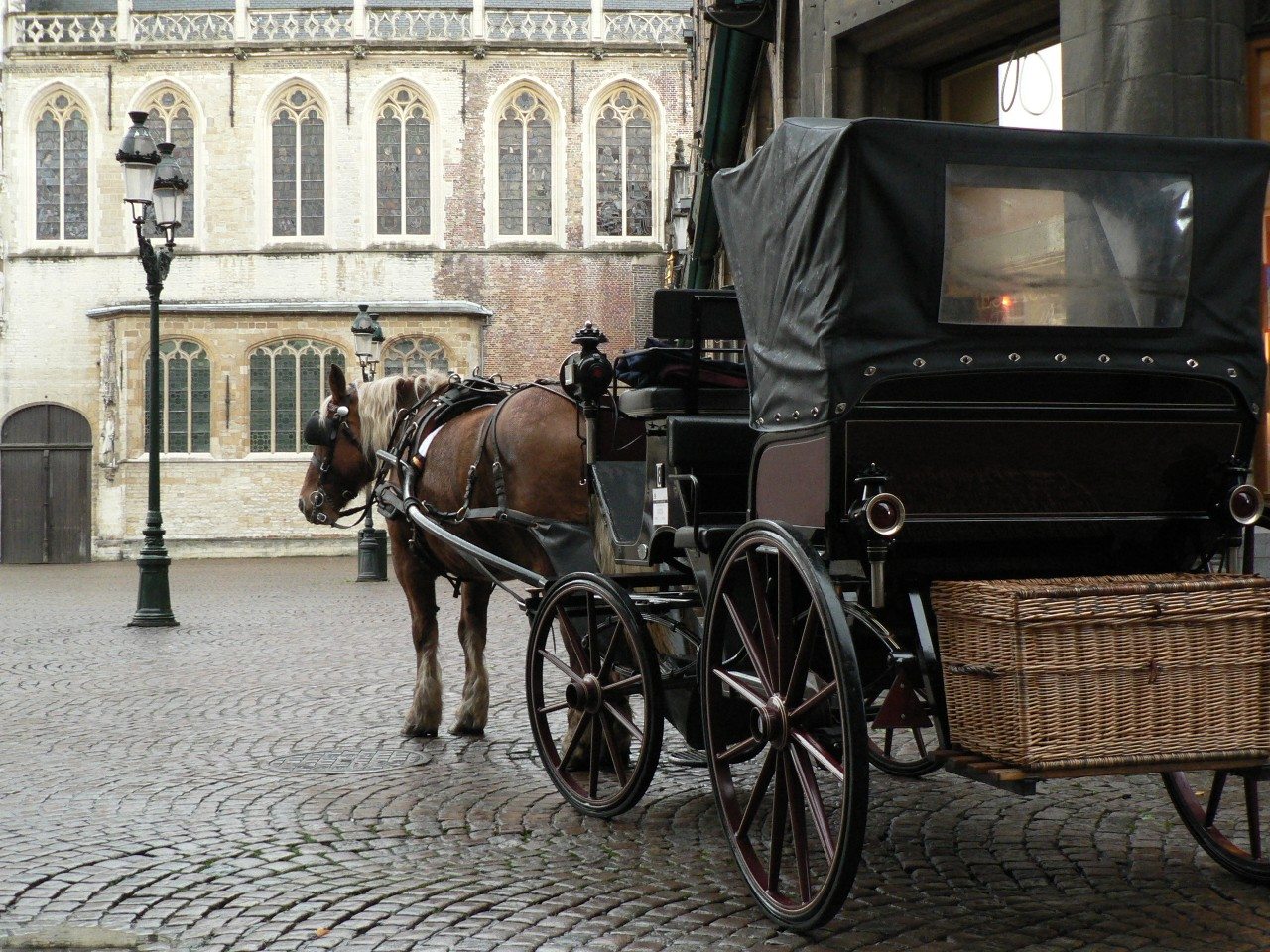 Miscellaneous photo 52