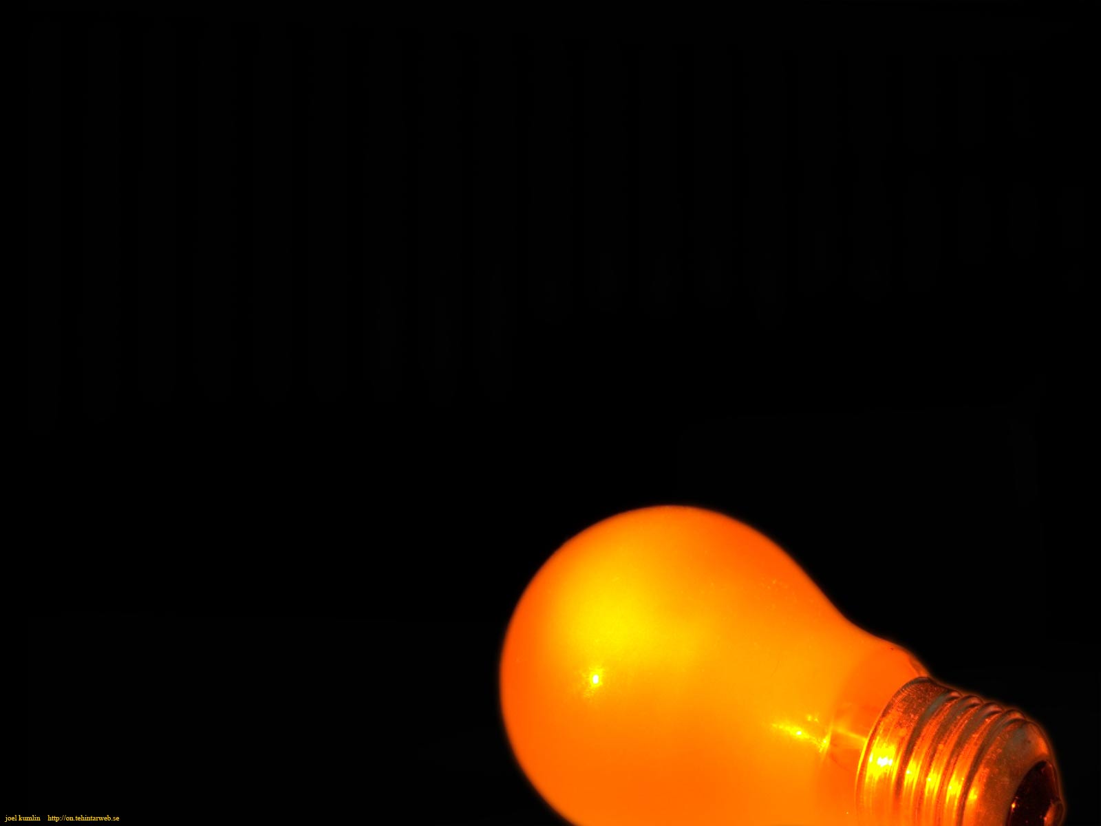 Miscellaneous photo 53