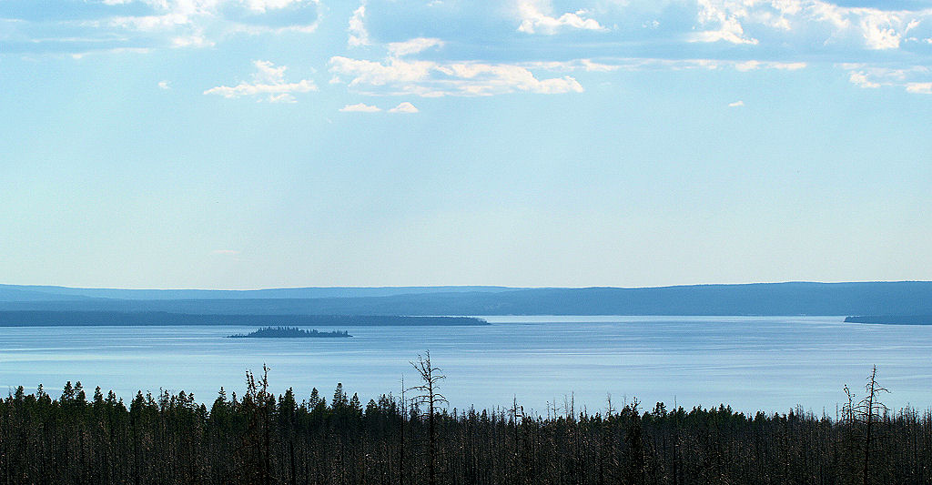 Yellowstone 1