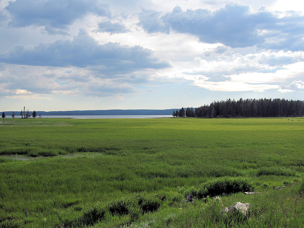 Yellowstone 2